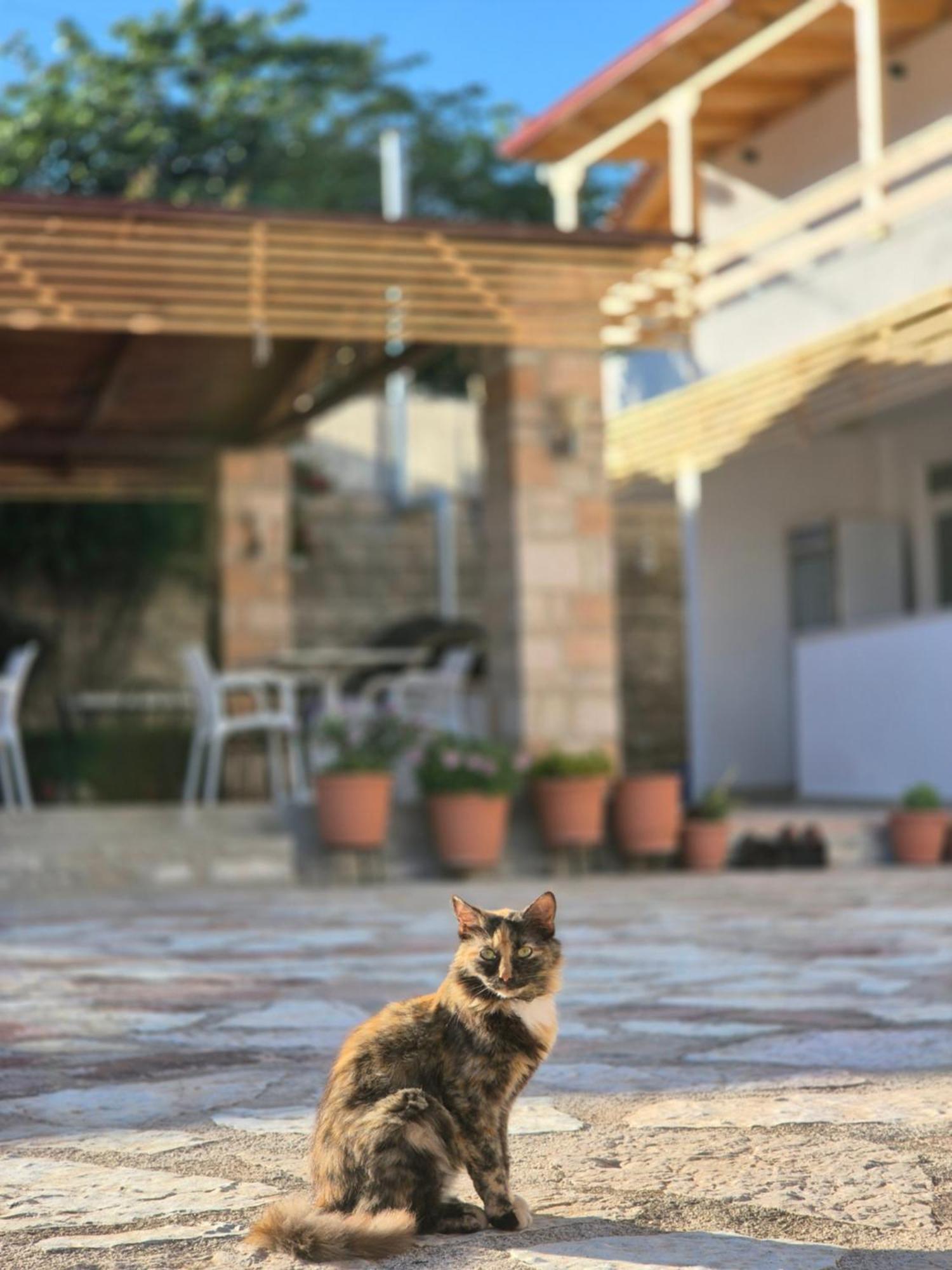 Villa Josana ซารานเดอ ภายนอก รูปภาพ